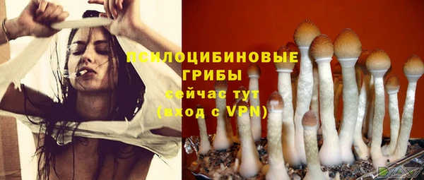 ECSTASY Абдулино